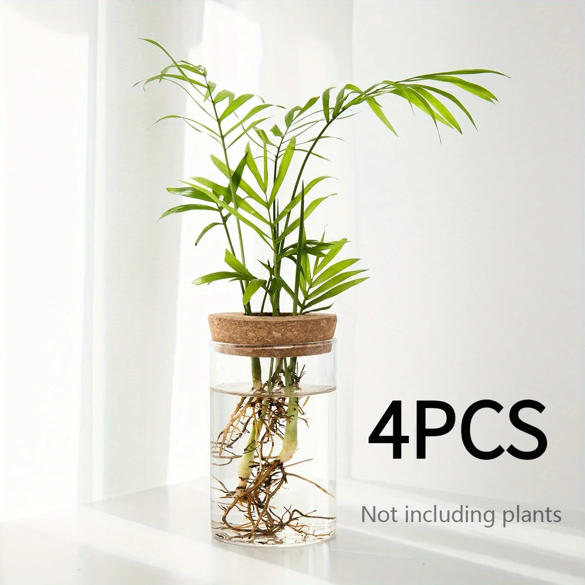 Hydroponics Plants Vase