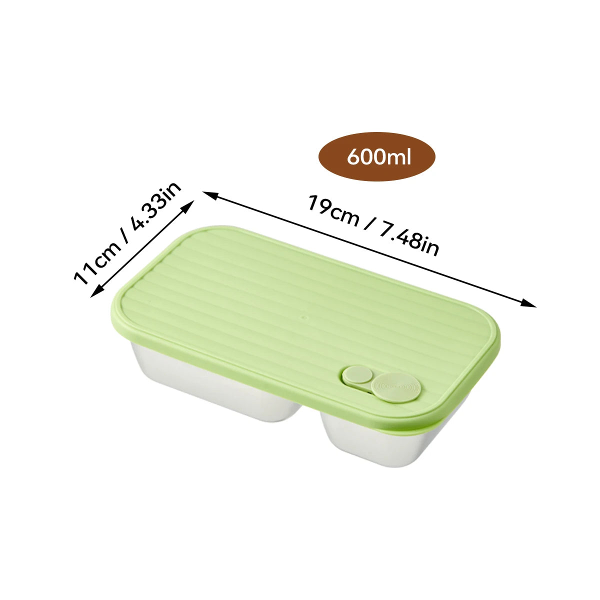 Stainless Steel Bento Lunch Box with Coloured Lid