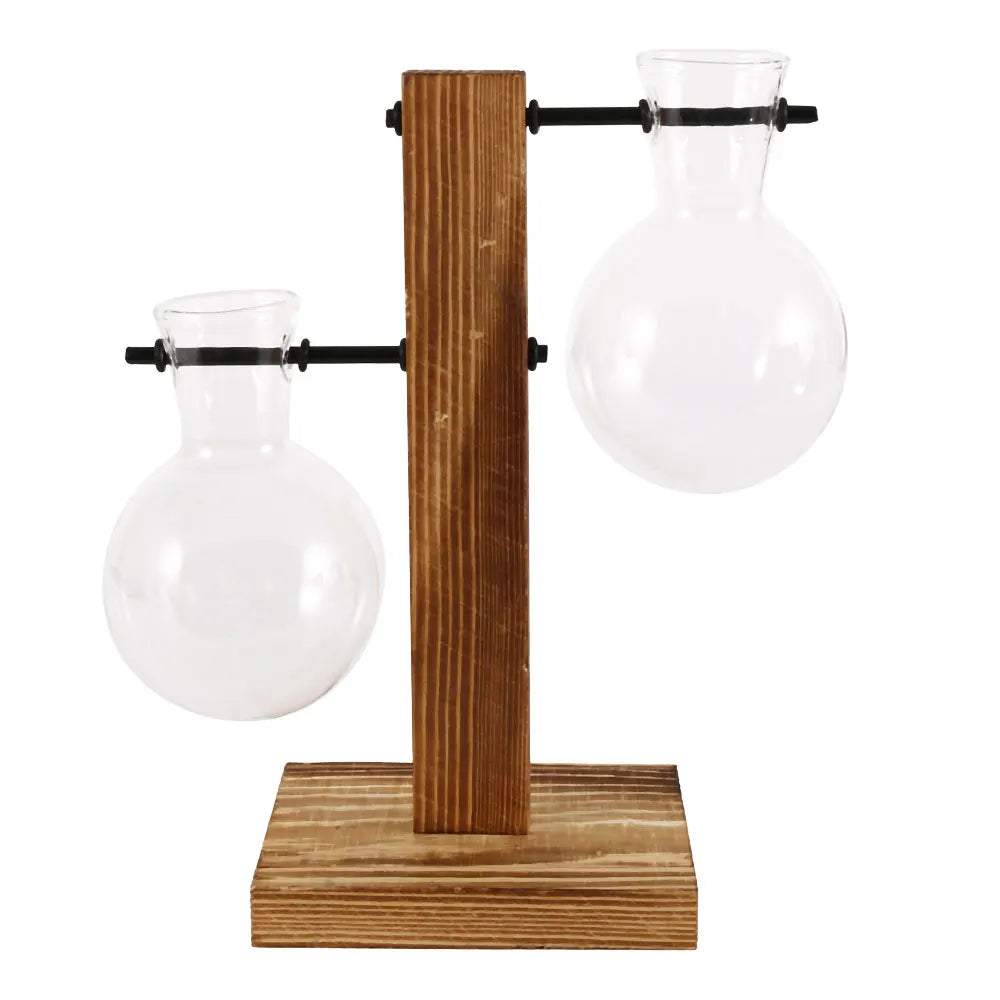 Plant Vase Terrarium