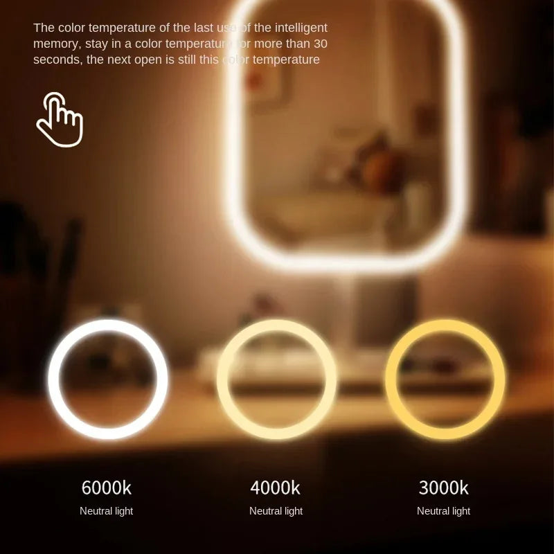 LED Illuminated Make-Up Mirror