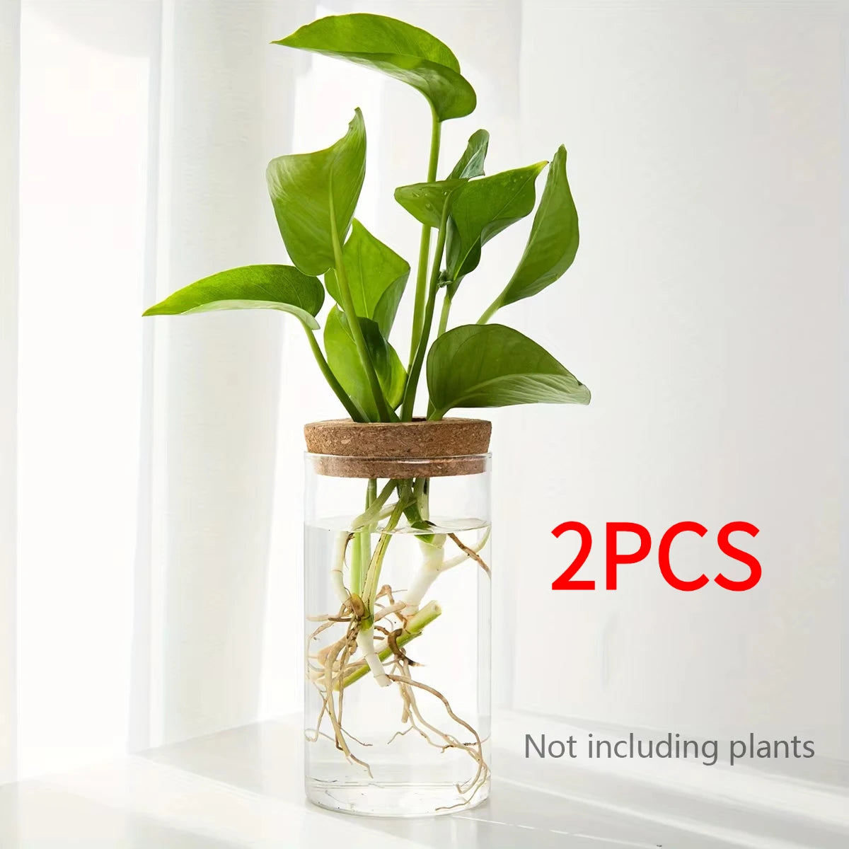 Hydroponics Plants Vase