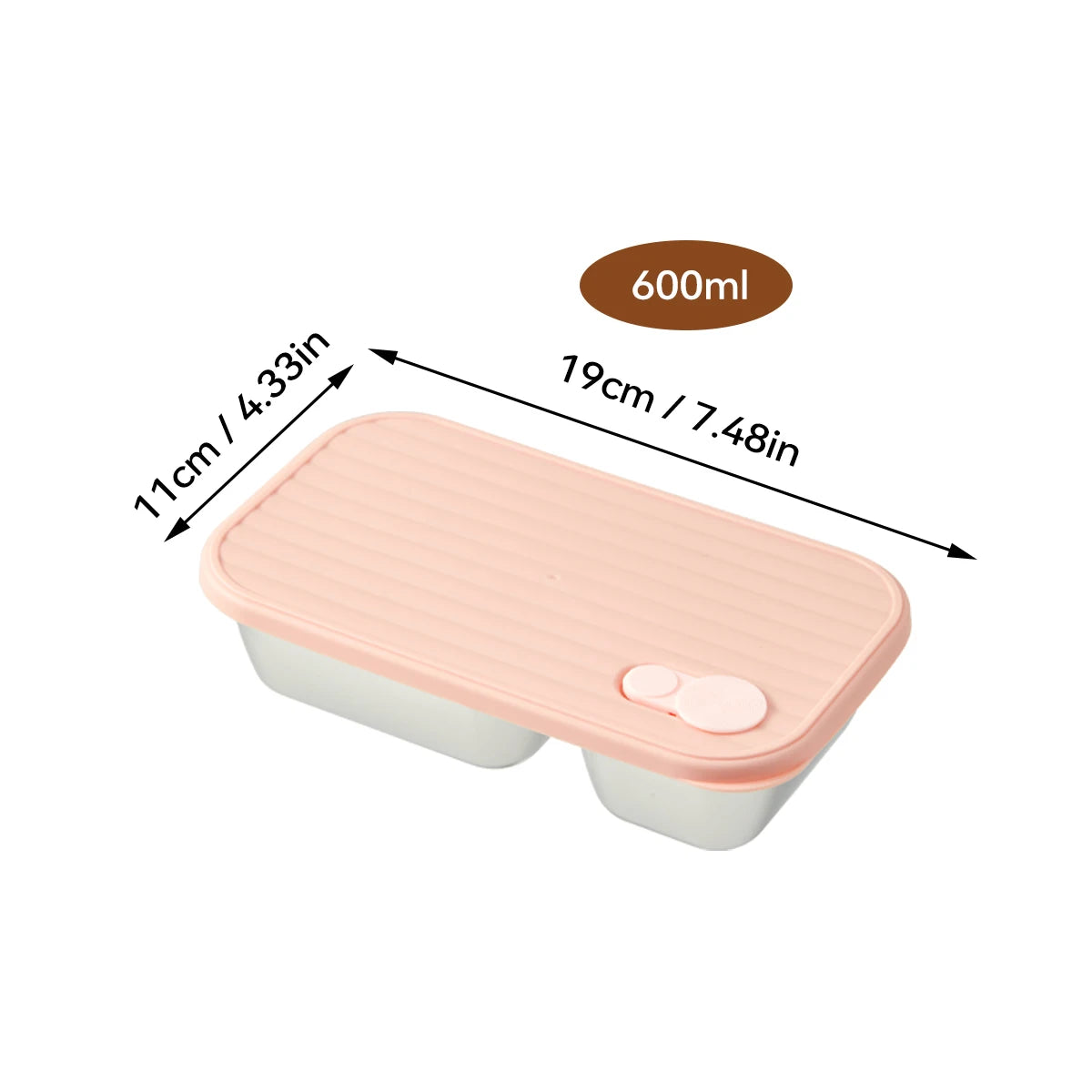 Stainless Steel Bento Lunch Box with Coloured Lid