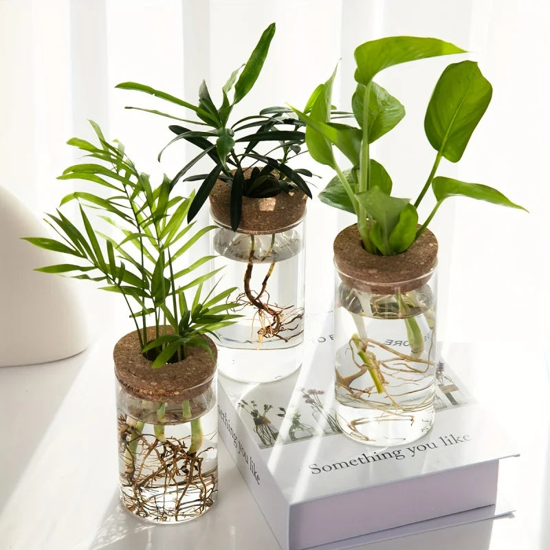 Hydroponics Plants Vase