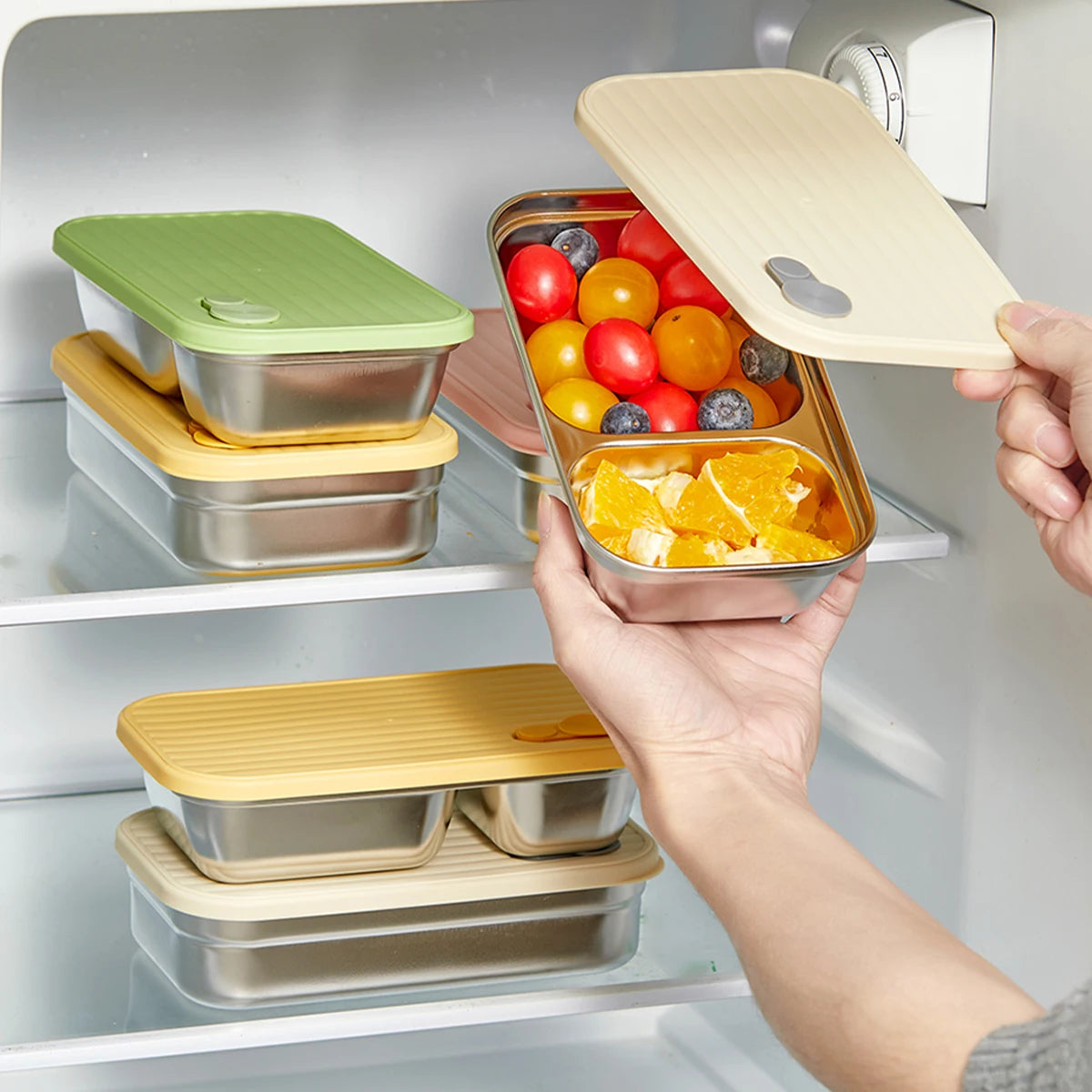 Stainless Steel Bento Lunch Box with Coloured Lid