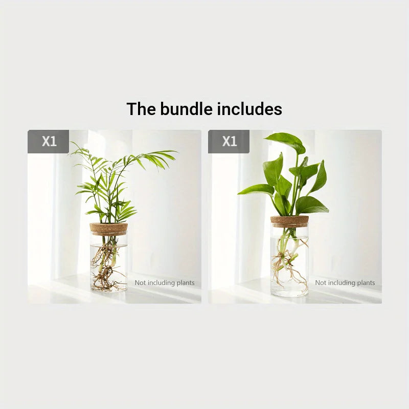 Hydroponics Plants Vase