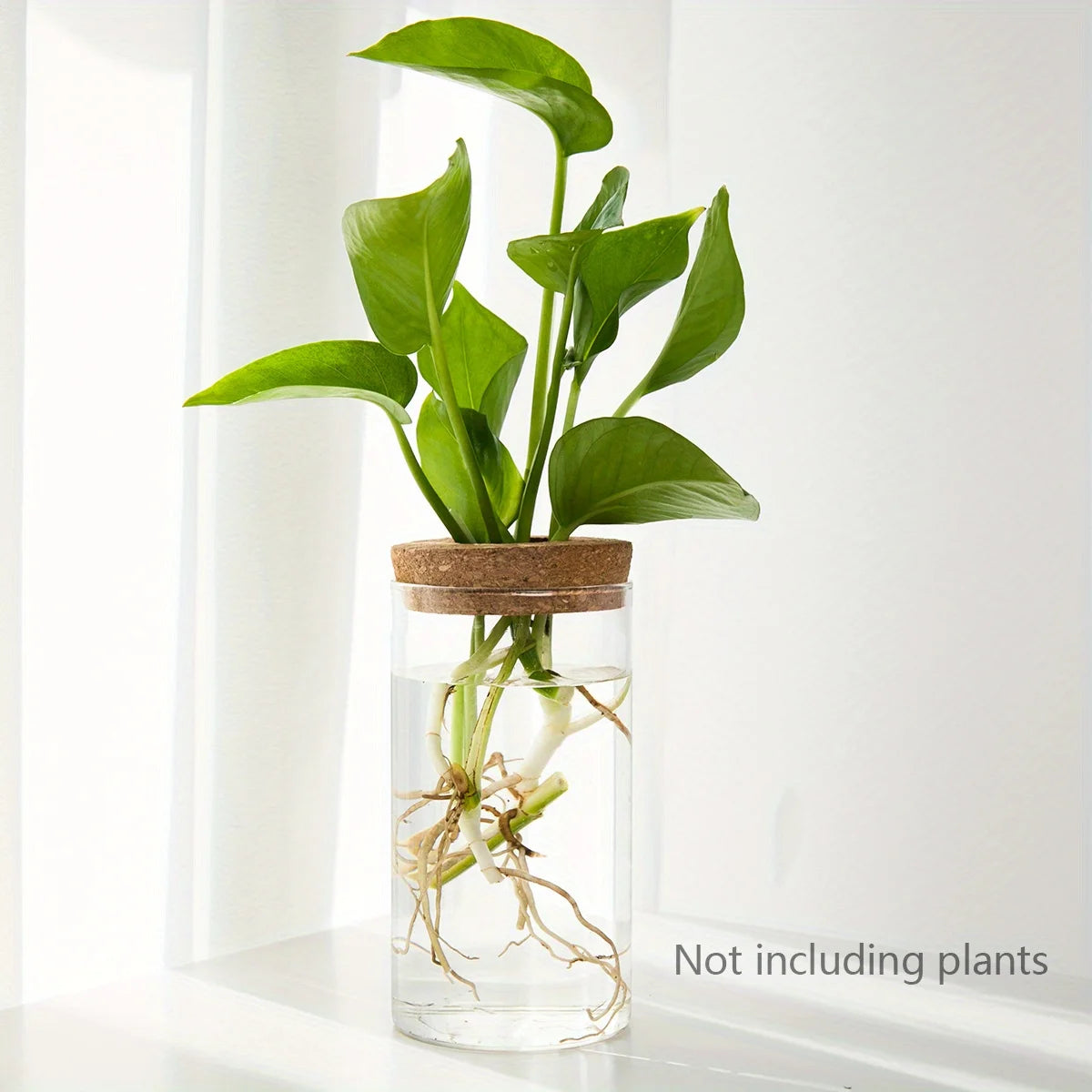 Hydroponics Plants Vase