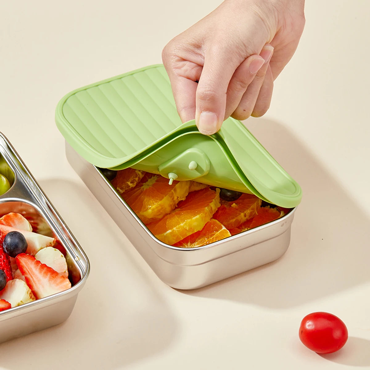Stainless Steel Bento Lunch Box with Coloured Lid