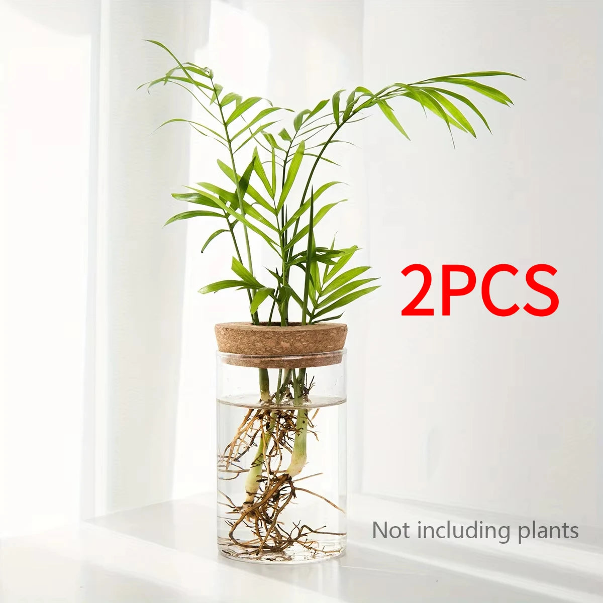 Hydroponics Plants Vase