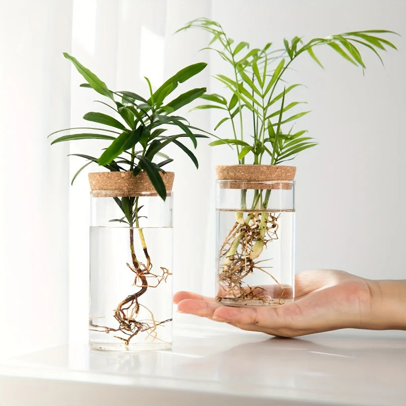 Hydroponics Plants Vase