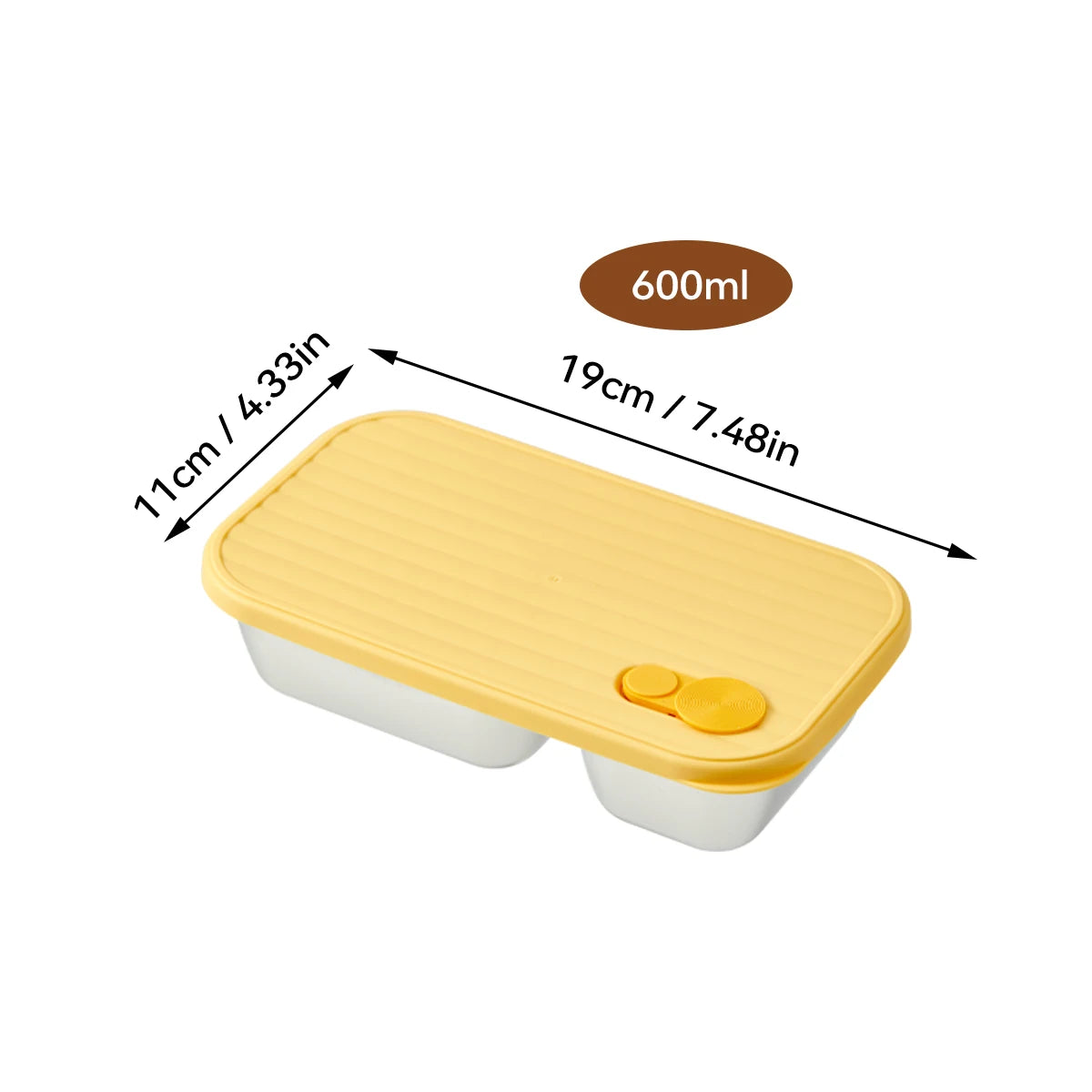 Stainless Steel Bento Lunch Box with Coloured Lid