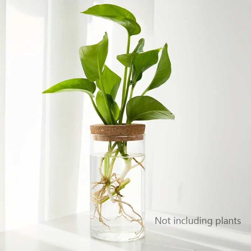 Hydroponics Plants Vase