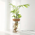 Hydroponics Plants Vase