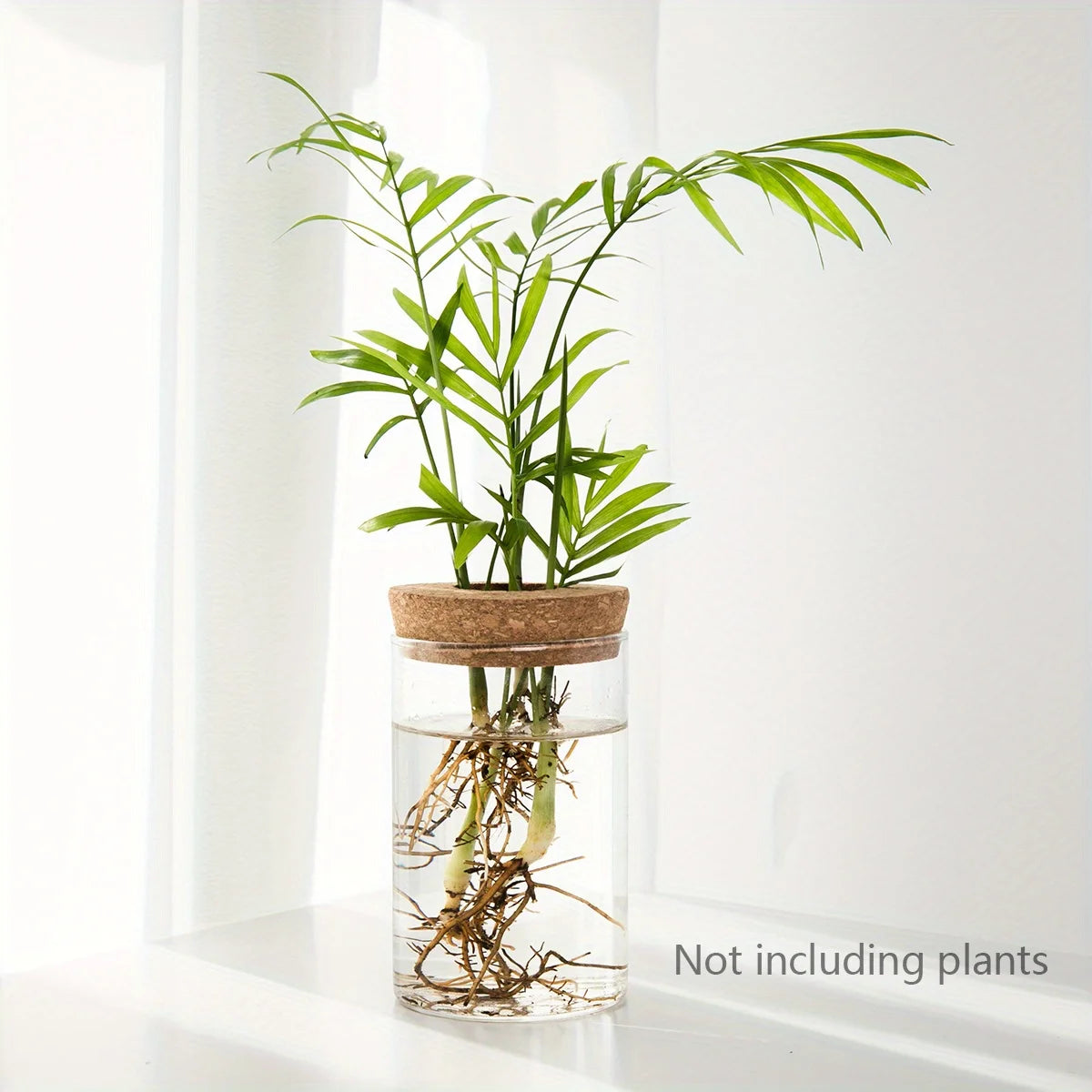 Hydroponics Plants Vase