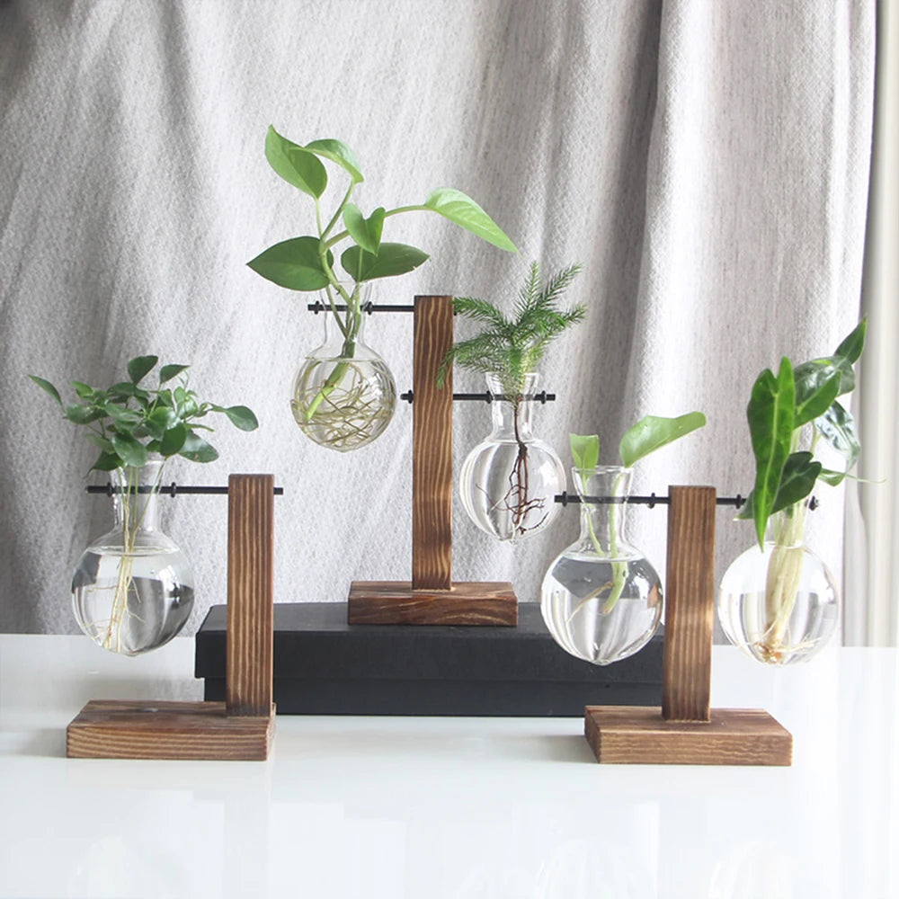 Plant Vase Terrarium