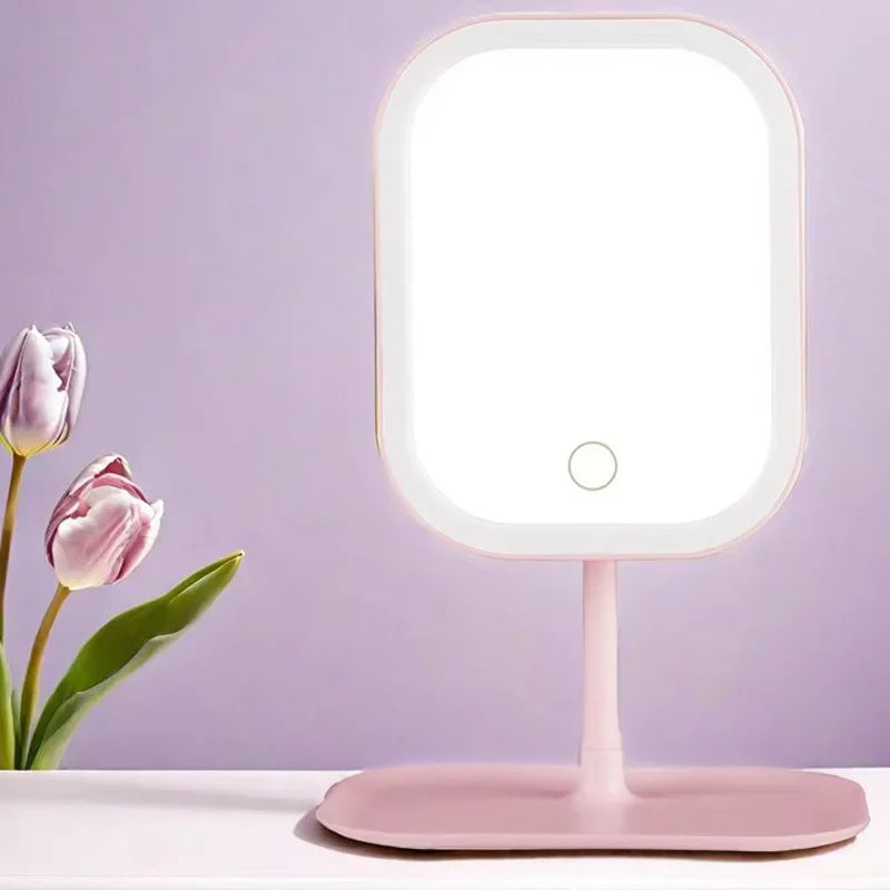 LED Illuminated Make-Up Mirror