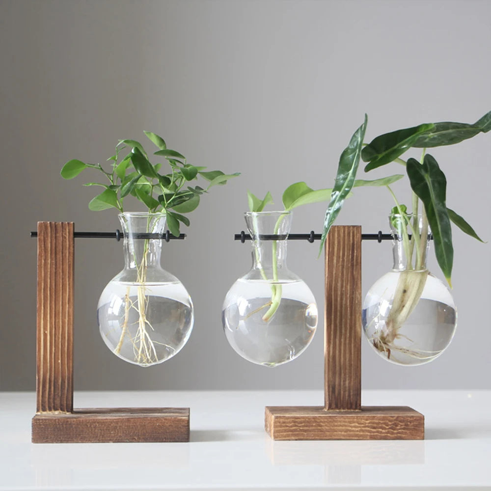 Plant Vase Terrarium