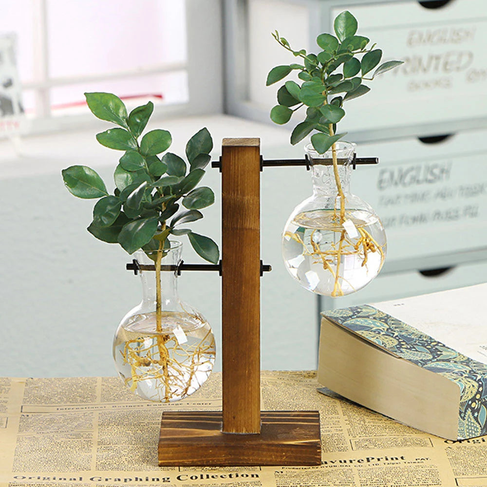 Plant Vase Terrarium