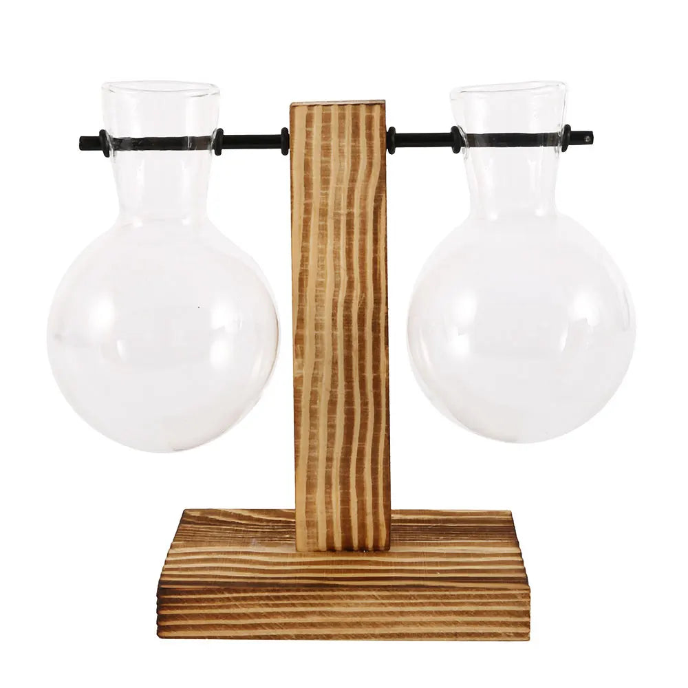 Plant Vase Terrarium