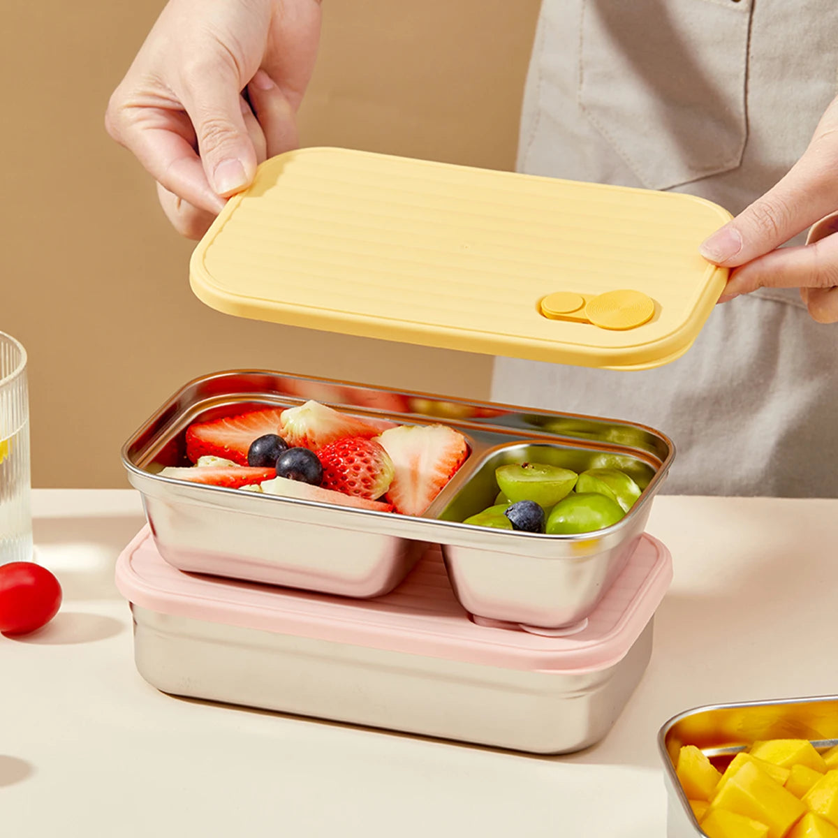 Stainless Steel Bento Lunch Box with Coloured Lid