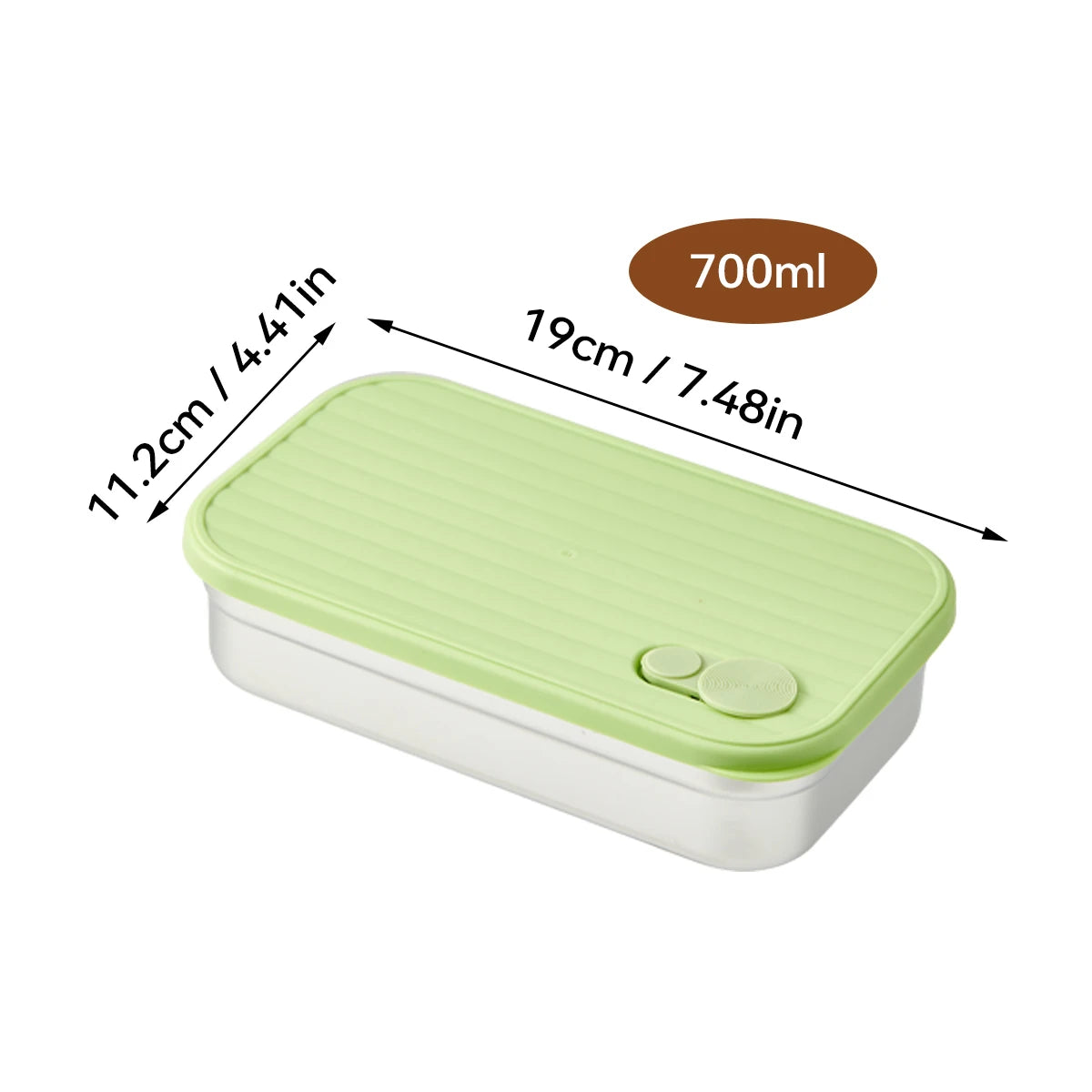 Stainless Steel Bento Lunch Box with Coloured Lid