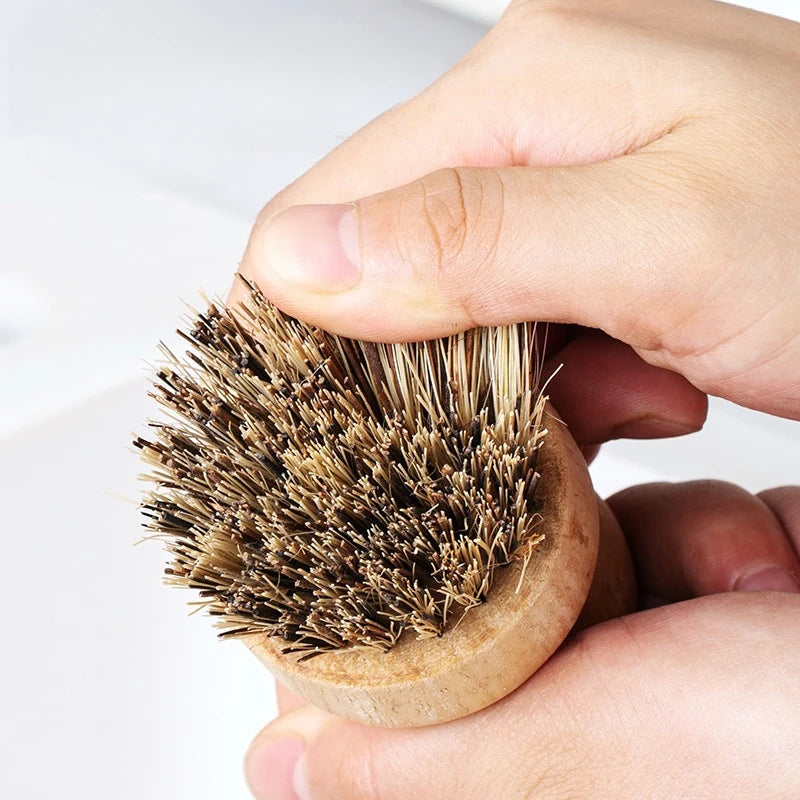 Wooden Dish Brush with Natural Sisal and Coconut