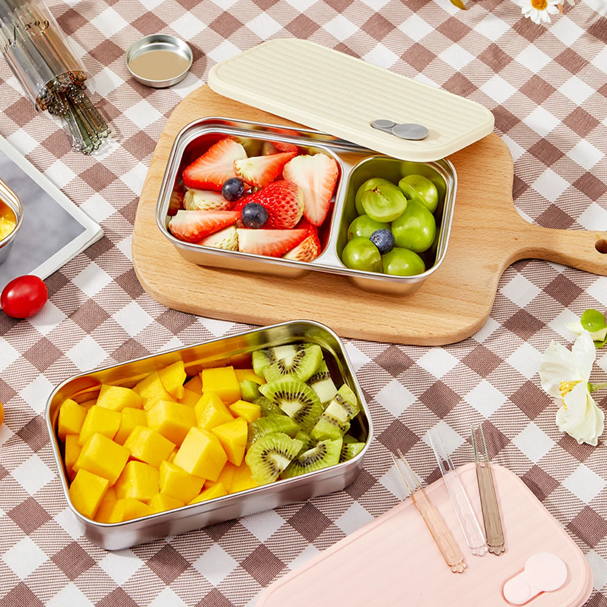 Stainless Steel Bento Lunch Box with Coloured Lid