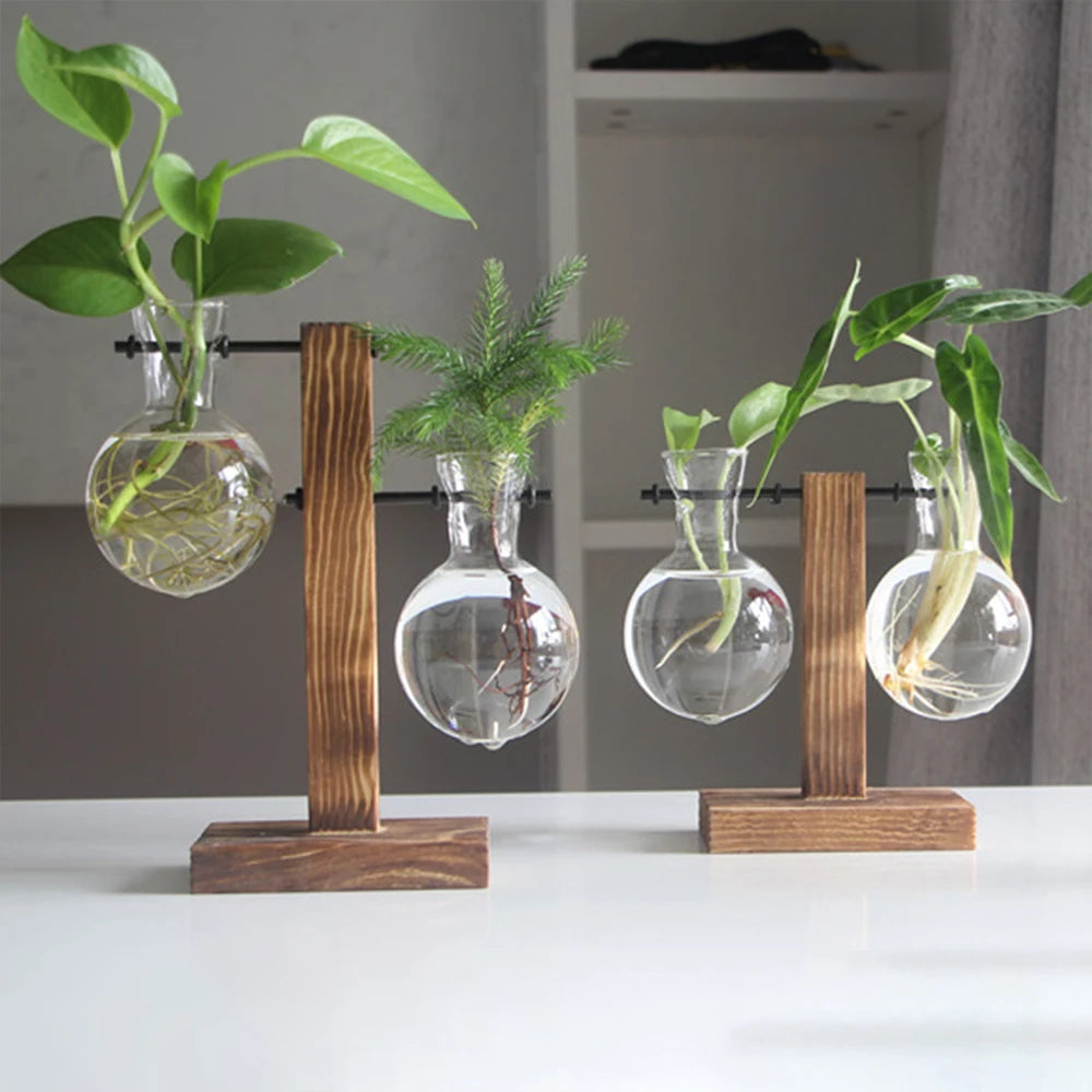 Plant Vase Terrarium